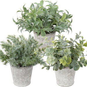 Villa Como CeA O[ tFCNO[ lH ϗtA tFCN  A  e[ufR[V GAvc 킢  Mtgi 3,񂾗΁iZg