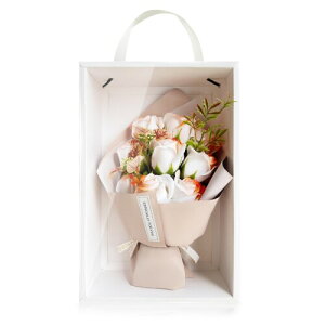 HANASPEAK \[vt[  ̓ Ǝ hV̓ o^Cf[  a t[Mtg g ʃoiOrangej