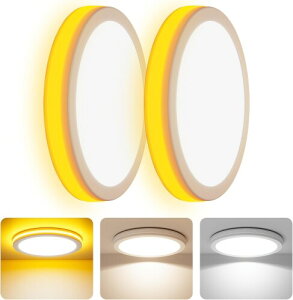 Coizabera LEDV[OCg 6~8 2Zb Ԑڌ铔t 32W 3800lm F ɔ^  VƖ dC u Ceiling Light 6 8 Q/rO/Lb`KpiNo alexaj