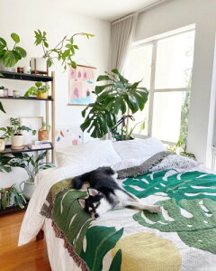 썑Cxbh[ CeA ϗtA,}hJY CA[eBXgEfUCi[,A[g[NCuPbg&}`Jo[ ? O&}bgCۓI 130X160cmc