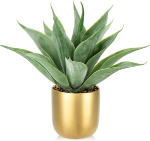 Villa Como tFCNO[ CeAO[ AKx lH ϗtA A  A ^ GAvc NX}X ItBX X    (1, 33CM)