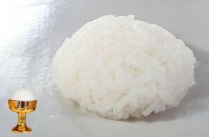 p(ɏ) 3.8Z` 3.1Z` S̍Yi C~e[Vł̂ŐHׂ܂B