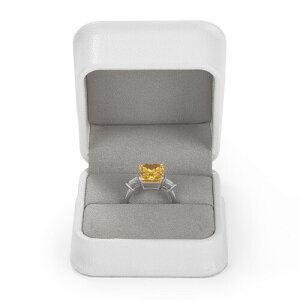 Papten wփP[X v|[Y OP[X PUU[ ^ ~j 1p LO w v[gȂǂɓK H12301 (zCg)