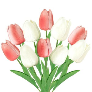 koundeneko  `[bv 12{Zbg ͂Ȃ A[gt[ ԑ  ԍ ϗtA CeA o^Cf[ a ̓ LOi  Be j Mtgi