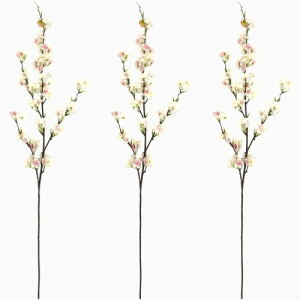 l    CeA t[AWg t  p[eB[ Xܑ (CgsN)