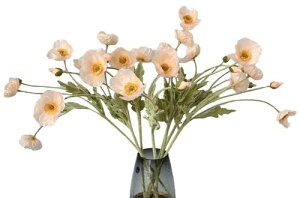 Kugusa |s[  CeA t̉ tFCN t[  A[eBtBV t[ PV t̑ 3{Zbg (Vp)