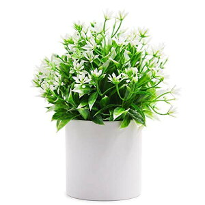 TOSSOW lHϗtA lHA CeA  A lߍ킹 p   Mt lHϗtA  tFCNO[ ͂Ȃ CeA O[