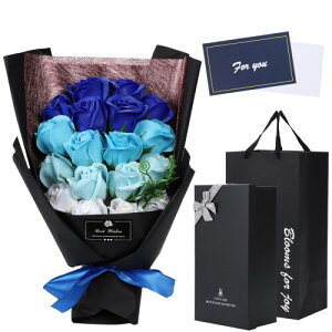 v~A\[vt[ ԑ 蕨 t[Mtg o NX}X  LO a   j WALO (u[)