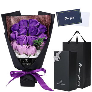 v~A\[vt[ ԑ 蕨 t[Mtg o NX}X  LO a   j WALO (p[v)