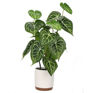 Villa Como tFCNO[ CeAO[ lHϗtA Xe AXE  A  GAvc  CeA ItBX v[g (AXE)