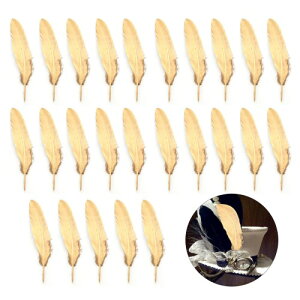 HV[ lHHV[ |ޗ tFU[ DIY  Cxg EFfBO a p[eB[ o 15~20cmtFU[V[ 25{Zbg(̉H)