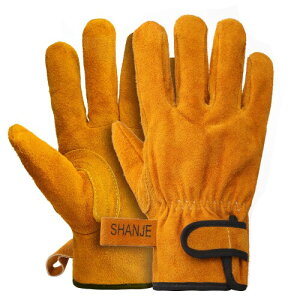 ϔM  SHANJEF _炩 ϐؑn g₷ ϐnO[u A~zCf ϐ350[x]