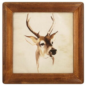 icheesday ؐ̃tHgt[Âi`ȖؐFAX^hAǂ̕`tHgt[ 25x25cm