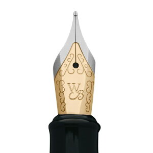 Erudite - Medium Nib (Black section Gold trim) -1pc Poly bag packaging