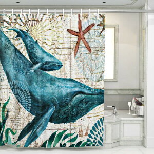 V[J[e ϋv̂鐶n J[e L h 􂦂 Ԏd؂ (~)