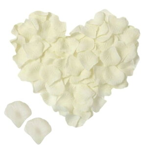 N[zCg o Ԃт 300 t[V[ KN  v|[Y   EGfBO a j NX}X p[eB[pBeȂǗp  