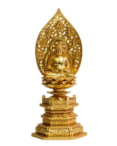  ߉ޔ@ 21.5cm(bL/24) tFqcG_ ^Qw@EՍϏ@EV@x  (Ⴉɂ炢/XL)