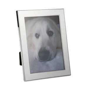 Airrail vo̓J^` ʐ^ tHgt[ 1 2L Vo[ X`[ KX ㎿ fUC  (12L, ChGbW)