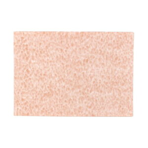 TOa pup (X) (1Zbg100) (J(14.8cm×21.0cm))