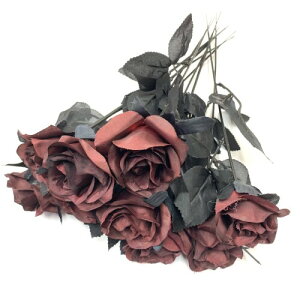 (ADOSSY)  CeA o ԑ u[P Zbg ϗtA   Bep  KN KN (bh)