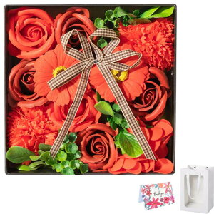 (VX) \[vt[ V{t[ {bNX ? KN J[l[V o ̓ a LO j ސEj  ʉ  v[g Mtg Όf ͂