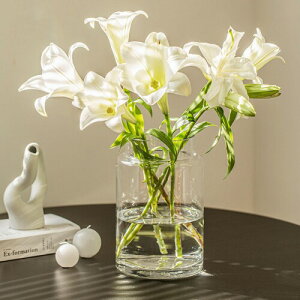 YHOMBES KX ԕr   t[x[X 傫  Ԋ ͔|    Vv CeA ԕr IV (NA (:23cm))