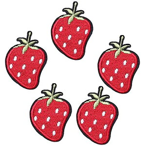 Harsgs Strawberry Patches, Embroidered Iron On/Sew On Patches, Cute Applique Patches for Clothing, Jackets, Hats, Backpacks, Jeans (Pack of 5)
