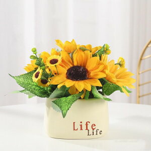 Lakymisy Ђ܂葢 A ~ ԑu[P ϗtA ͂Ȃ lHq}u[P  |bg VN INS ʐ^Be ֒u  Vj v[g z[fR