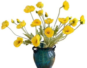 Kugusa |s[  CeA t̉ tFCN t[  A[eBtBV t[ PV t̑ 3{Zbg (F)