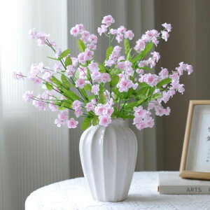 siawadeky  Yȑ 4{Zbg tFCNt[ ͂Ȃ { A[gt[ ԑ  ԍ ϗtA CeA o^Cf[ a ̓ LOi 