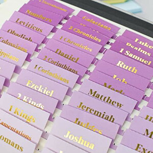 VANRA ̃^u p W[iOpi CfbNX^u 96 p ėp\  󔒂̔S^ut l//̎qւ̃Mtg ()