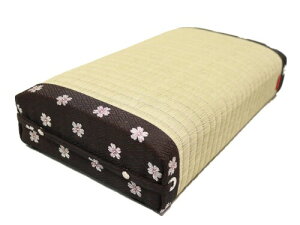 ֎q a Mtg Y\ [e[uœK ɁEGɉ Q El̎ ()