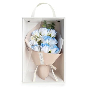 HANASPEAK \[vt[  ̓ Ǝ hV̓ o^Cf[  a t[Mtg g ʃoiElenaj