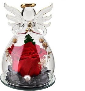 ZLTXMY vU[uht[ vU[uh[Y hCt[ ̓ j LO a ̃v[glC zj w Ƃ̑蕨 