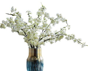 Kugusa   } }  A   tFCN t[ CeA \CVm (}2{)