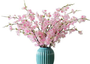 Kugusa   } }  A   tFCN t[ CeA \CVm (}2{)