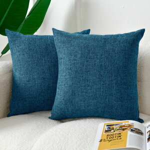 DWCN NbVJo[ l̎ k  n \tg^b` \t@w Jo[ lGʗp 2Zbg (_[Nu[, 45×45cm)