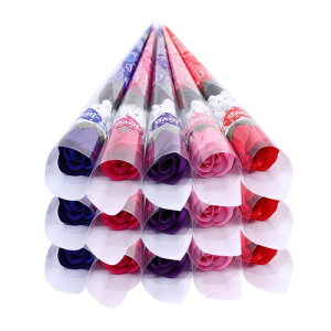 Pepcyo \[vt[ 15{Zbg o^Cf[ ̓  Ǝ  w ʉ z v[g 5FZbg