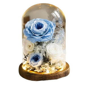 vU[h t[ ͂Ȃ  a  Mtg KN hCt[ t[ MtgKXh[ LEDCg ̂ aFB ̓ӂNւ̌hӋLOv