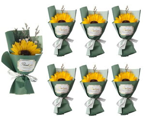 himsyuden  Ђ܂  6{Zbg \[vt[ ԑ  Ό  ԏ o^Cf[ ̓ a Mtg EGfBO Ǝ j 蕨 ޏ Fl v