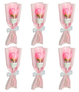 himsyuden  o  6{Zbg sN \[vt[ ̓ ԑ Ό  ԏ o^Cf[ ̓ a Mtg EGfBO Ǝ j 蕨 ޏ Fl