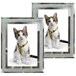 Lethromri tHgt[ ͂TCY  tHgX^h KX 2 Zbg j oYj wj v[g