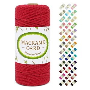 LEREATI マクラメロープ 3mm x 100m ナチュラルコットン マクラメ 糸 マクラメ 紐 綿糸 太毛糸 DIY 手編みロープ 壁掛け 鉢植え装飾 編み物 工芸品 (レッド)
