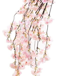 Kugusa     A fBXvC } }  tFCN t[ CeA (}2{)