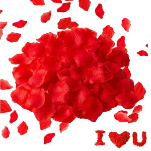 DFsucces Ԃт 2000Zbg KN  v|[Y   a j NX}X p[eB[p ỏԂт ԐF