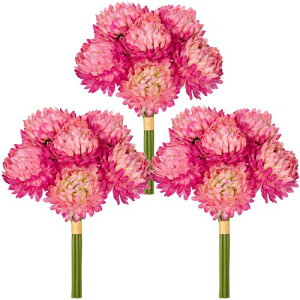 Villa Como e    dp ~j ~ ފ  ͂Ȃ A[gt[ CeAt[ CeAO[ tFCNO[ 3_Zbg(p[v)