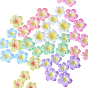 AirAkl 707F vA  `[ t[ Syr[Y y_g  CO Ԃт lbNX nCA |}[NC p[c sAX a 3d Sy| Lbg DIY