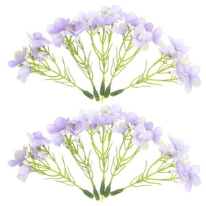 Alipis ԑ  CeA AWTC 20   ԍ  wAANZT[ hX   A[eBtBVt[  uC_ ʐ^Be p[eB[ fBXvC