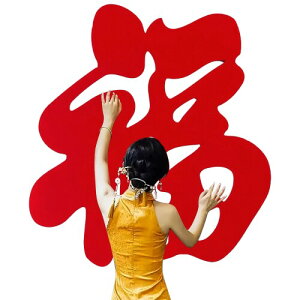 HannaFires 40C` ^uvEH[fR[V ? ƑcREphAXebJ[ sDzf rO[ԉŌؓ`