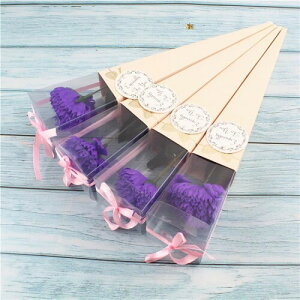 ̓J[l[Vԑ ̓ J[l[V \[vt[ Ό̉ ͂Ȃ o^Cf[ v[g bȂ ͂Ȃ lHϗtA ԕr} t[AW